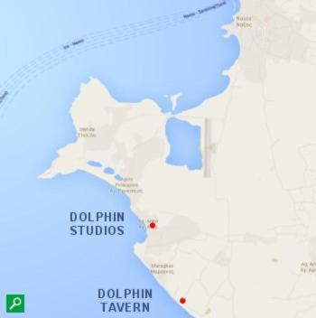 Dolphin Studios Agia Anna  Dış mekan fotoğraf